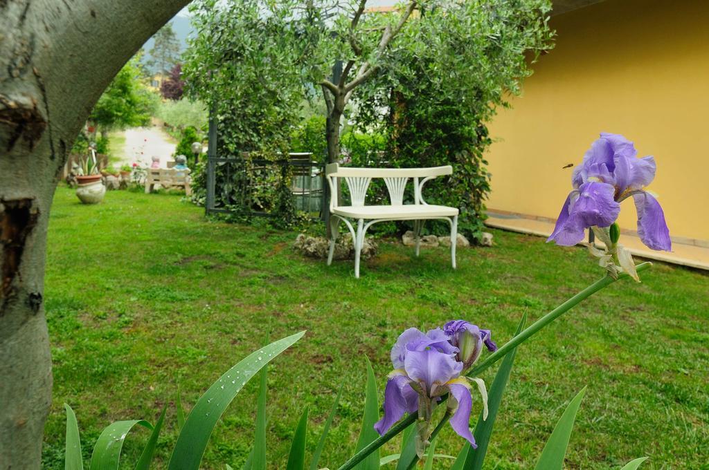 Hostal Residenza Cieloterra Rivotorto Exterior foto